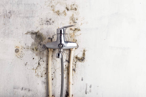 Best Mold Remediation for Schools in Nyon Lake, CA