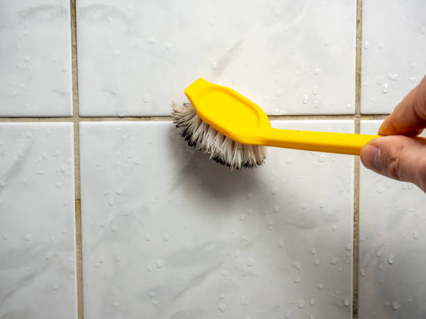 Reliable Canyon Lake, CA Mold Remediation Solutions